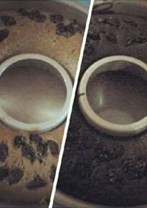Foto resep Bolu kopi anti gagal