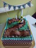 Torta pista de motocross