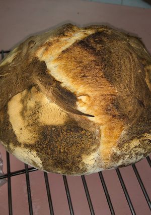 A picture of Sourdough bread.
