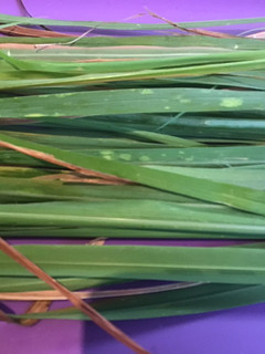 A picture of California Farm Annual Lemongrass Citronella Harvest.