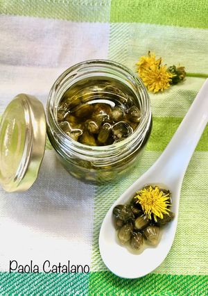 Foto di Boccioli di tarassaco (capperi) sott’olio