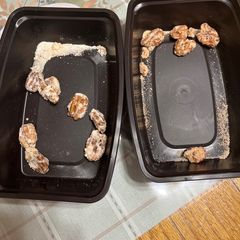 A picture of Sugared Pecans.