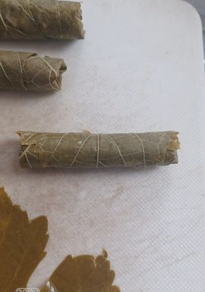 عکسی از دستور دلمه برگ مو