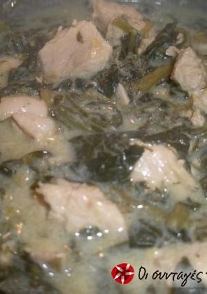 A picture of Chicken fricassee with lettuce.