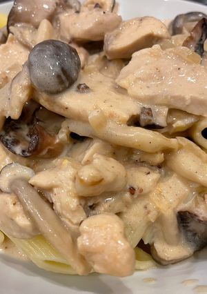 俄羅斯酸奶雞肉Chicken Stroganoff 的食譜成品照片
