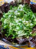 Salade de feuille de chêne à la feta et persil