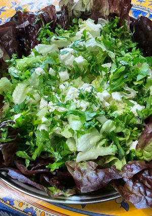 Une photo de Salade de feuille de chêne à la feta et persil