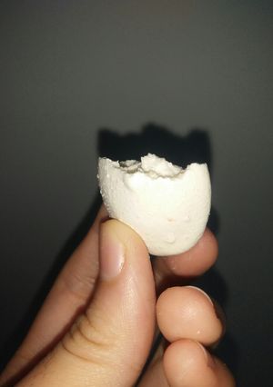 Hình của món Bánh meringue(bánh nụ hôn💋😘).