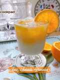 👩‍🍳Morir Soñando ~Dominican Orange and Milk Juice 🇩🇲