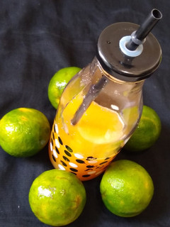 નેચરલ ઓરેંજ જ્યુસ (Orange Juice Recipe in Gujarati) રેસીપી મુખ્ય ફોટો