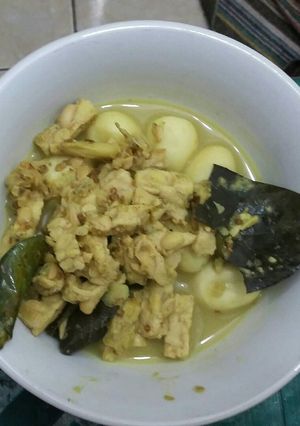 Foto resep Opor telur puyuh tempe