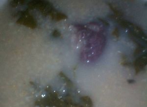 Una foto de Sopa de morón