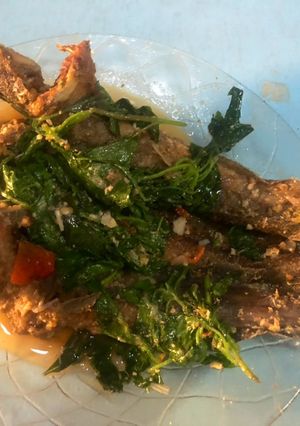 A picture of Pecan sauce Catfish.