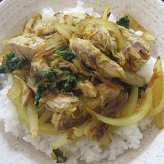 A picture of Curry Mackerel Don.