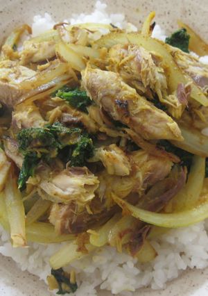 A picture of Curry Mackerel Don.