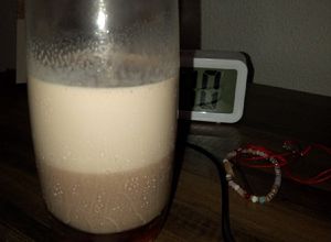 Una foto de Leche para Esquimos