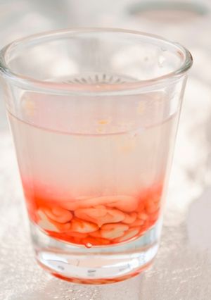 Una foto de Shot para Halloween "Cerebro de Mono"