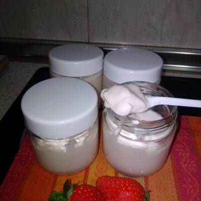 ▷ Receta de Yogur de Sabores con Yogurtera 【2023 】☝