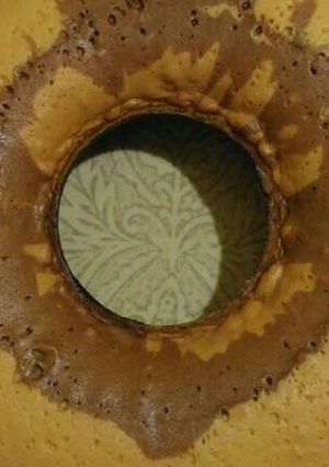 Foto resep Bolu jadul lembut