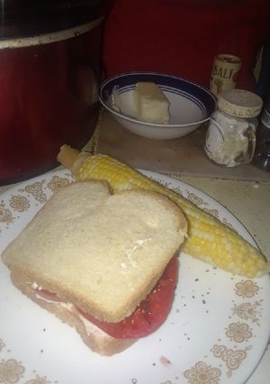 A picture of Midwest Summer Tomato and Sweet Onion Sandwich.