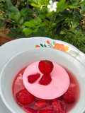 Puding Susu Stroberi Saus Buah Stroberi Segar