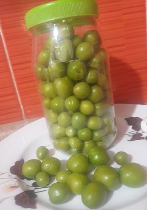 عکسی از دستور فریز کردن آلو