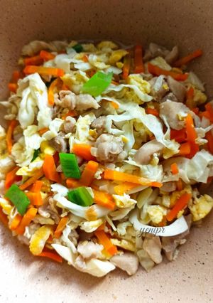 Foto resep Orak Arik Ayam dan Sayur