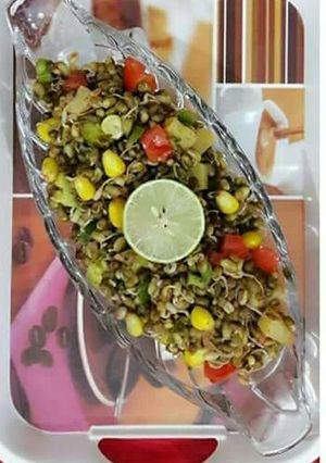 A picture of Sprouts chat.