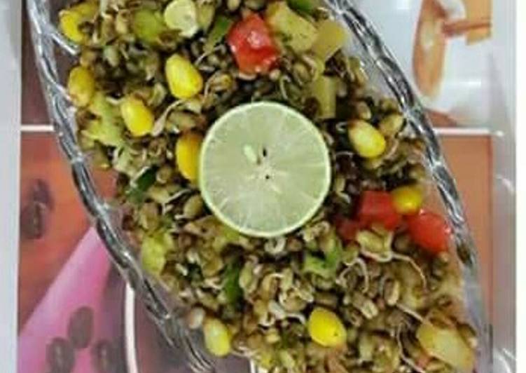 How to Prepare Perfect Sprouts chat Cooking Basics for Newbies