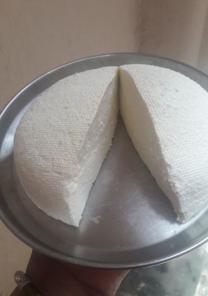 A picture of Homemade malai paneer.