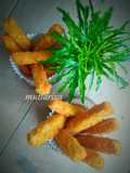 Stik tempe