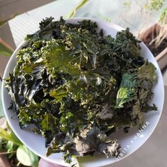 Crispy Kale Chips (no frying) A picture of Crispy Kale Chips (no frying).