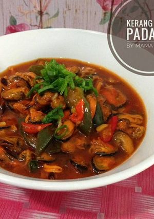 Foto resep Kerang Saos Padang