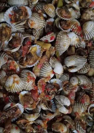 Foto resep Kerang Dara Saus Tiram *sinemaru*