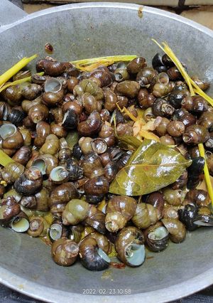 Foto resep Tutut balado pedas manis