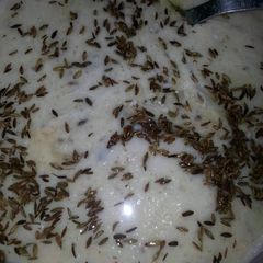 A picture of Bengan ka Raieta.