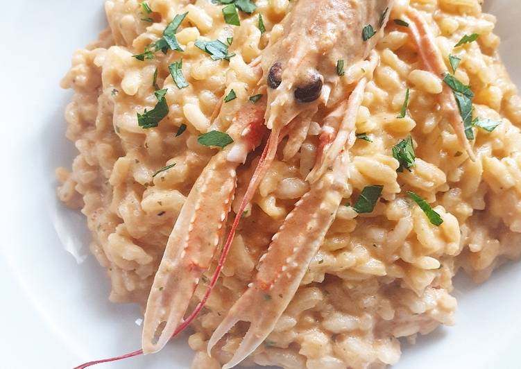 Risotto alla crema di Scampi