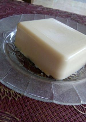 Foto resep Keju mozarella KW (homemade)