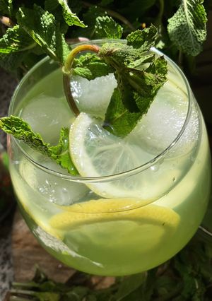 Une photo de 🍃🌿Menthe 🪴à l’eau 💧façon grand mère 🥂