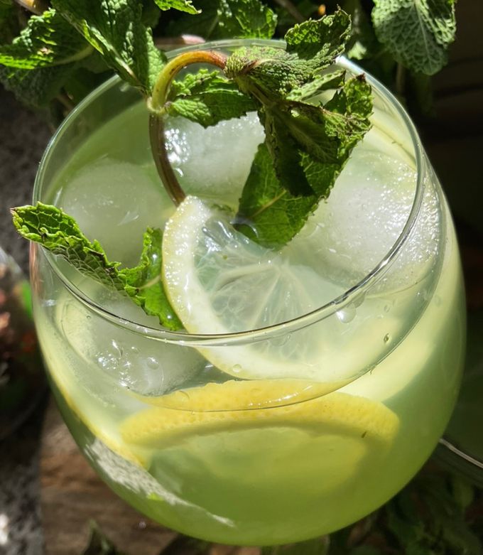 Une photo de 🍃🌿Menthe 🪴à l’eau 💧façon grand mère 🥂