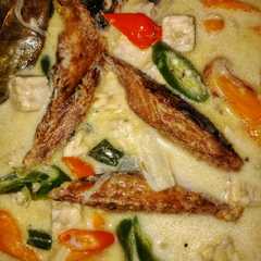 รูปของ Ikan tongkol kuah santan
