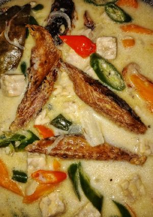 Foto resep Ikan tongkol kuah santan