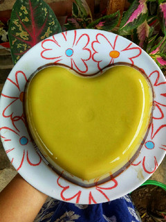 Foto resep Puding alpukat coklat