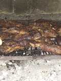 Asado a la parrilla a mí gusto 😜