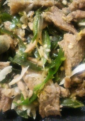 Foto resep Tumis Daging Cabai Hijau