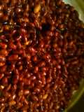 Moongphali, Sticky, Jaggary, Chikki - A traditional recipe