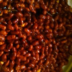 A picture of Moongphali, Sticky, Jaggary, Chikki - A traditional recipe.