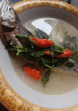 Foto resep Sup ikan bening segar