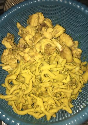 Foto resep Usus Goreng anti BAU