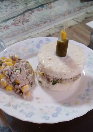 عکسی از دستور سالاد تن ماهی 🐟🐠